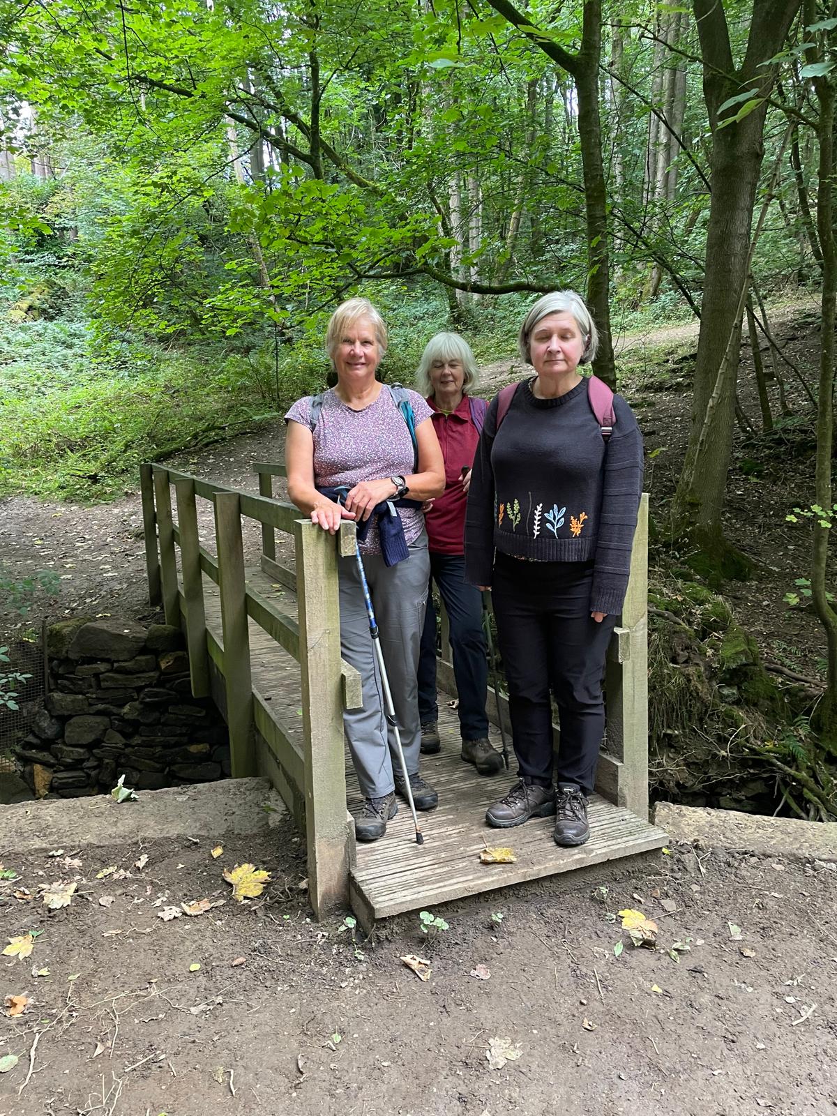 Walk Report – September Sunshine